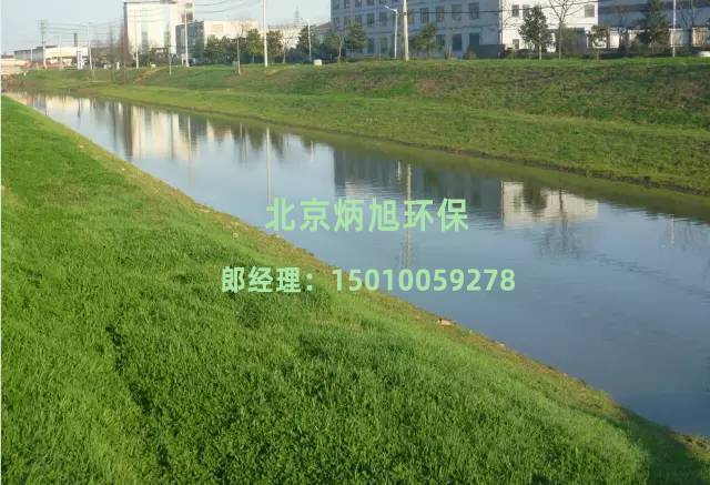 農村河道1 農村河道1